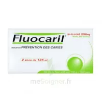 Fluocaril Bi-fluoré 250 Mg Pâte Dentifrice Menthe 2t/125ml à Chelles